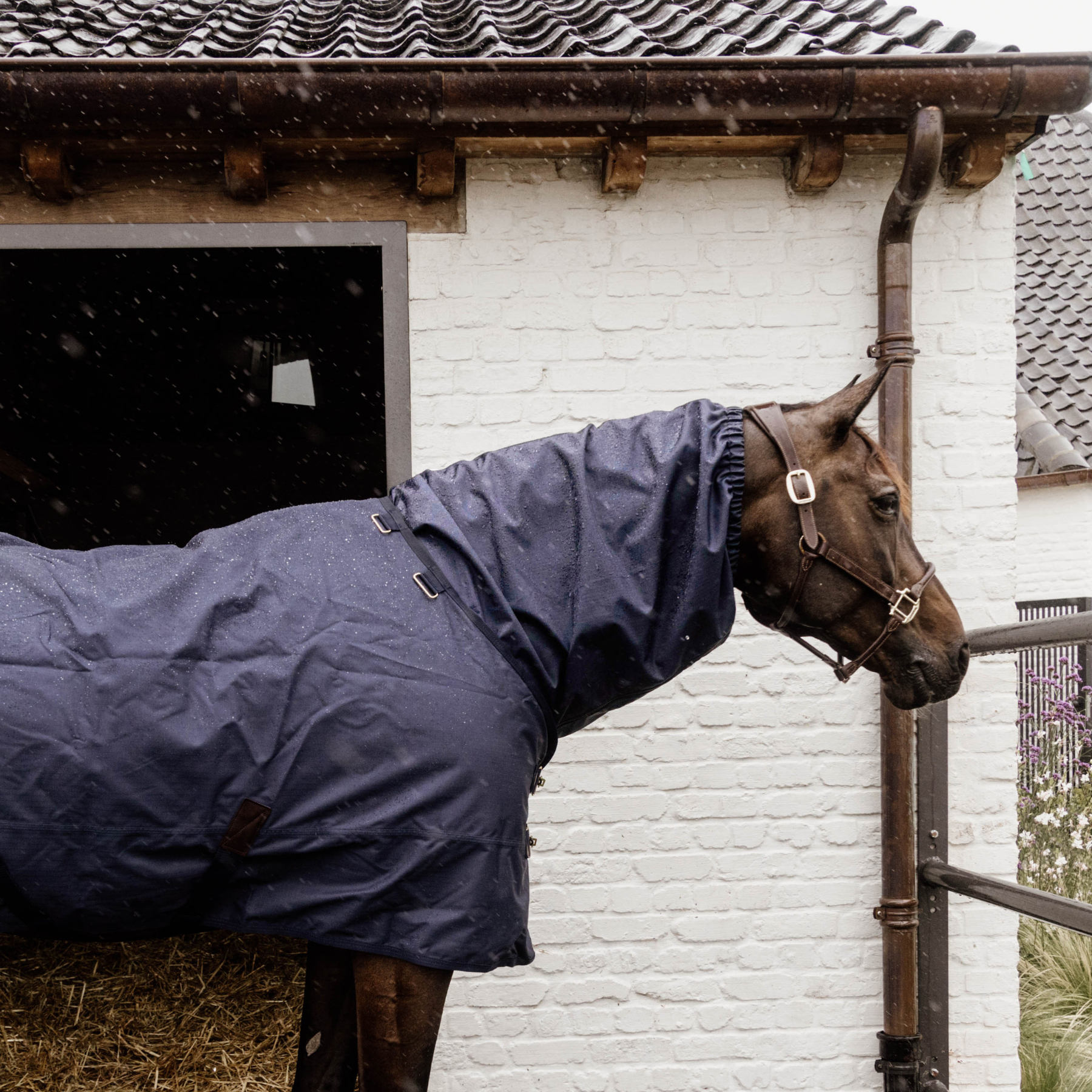 Kentucky Horsewear Waterproof Horse Scarf Classic, Navy