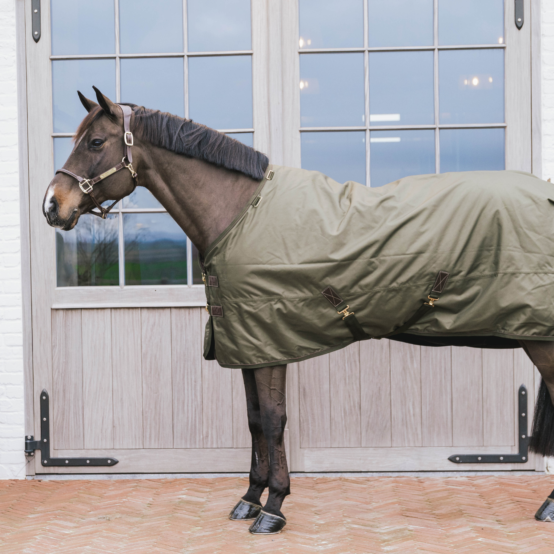 Kentucky Horsewear Turnout Rug All Weather Waterproof Pro, Khaki