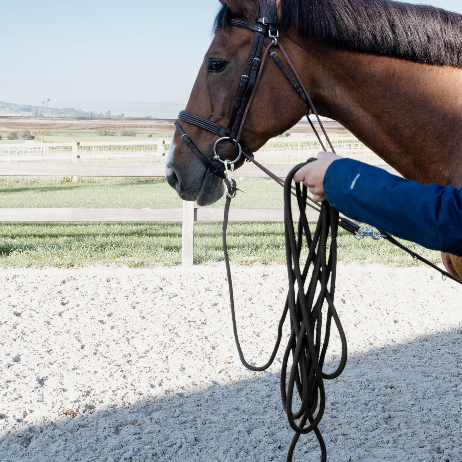 Kentucky Horsewear Lunge Rope 8m, Brown