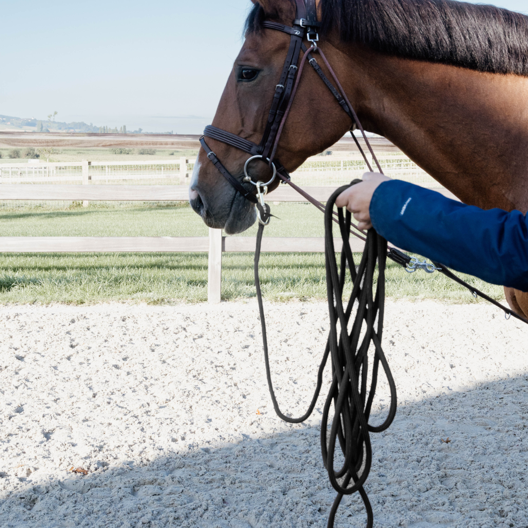 Kentucky Horsewear Lunge Rope 8m, Black