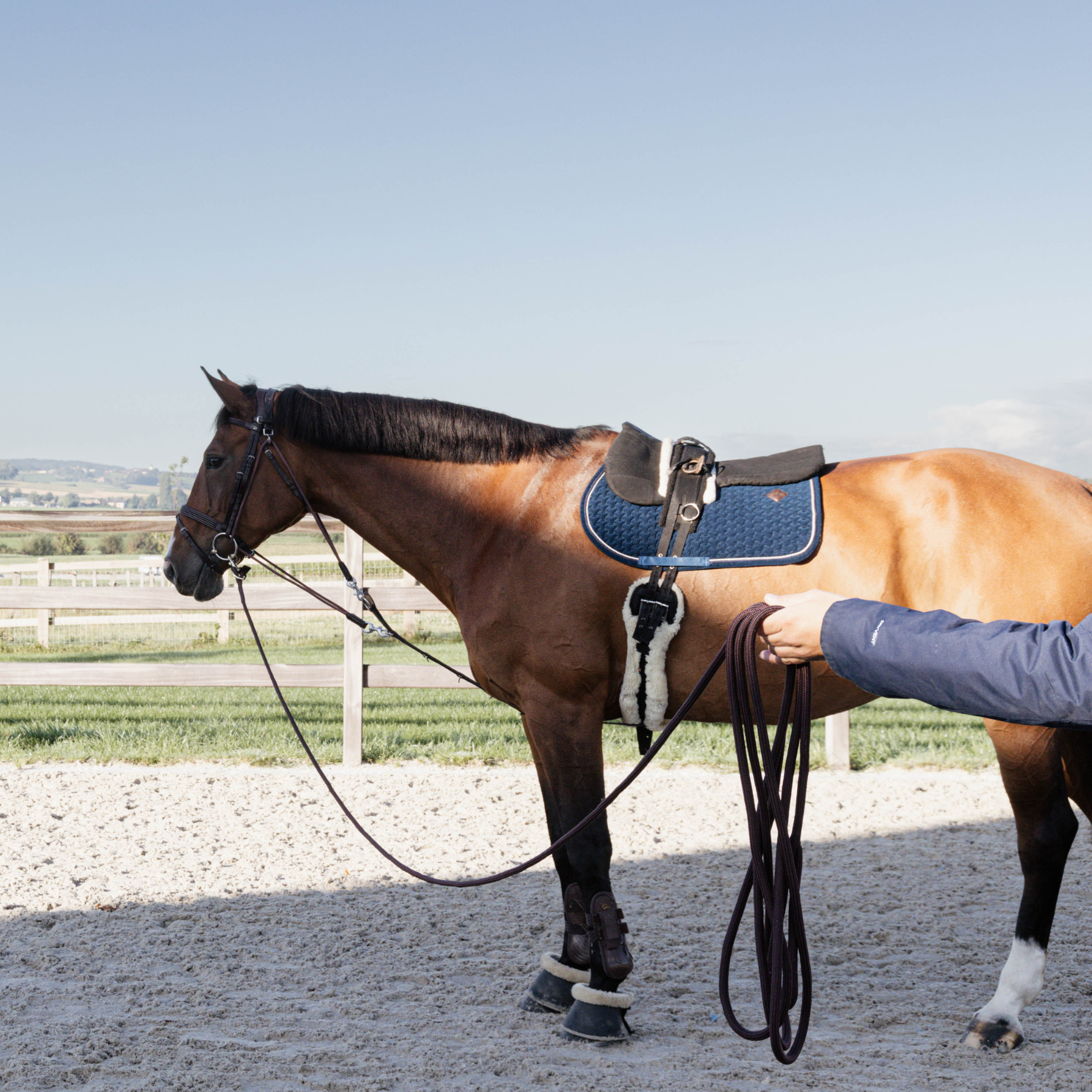 Kentucky Horsewear Lunge Rope 8m, Black