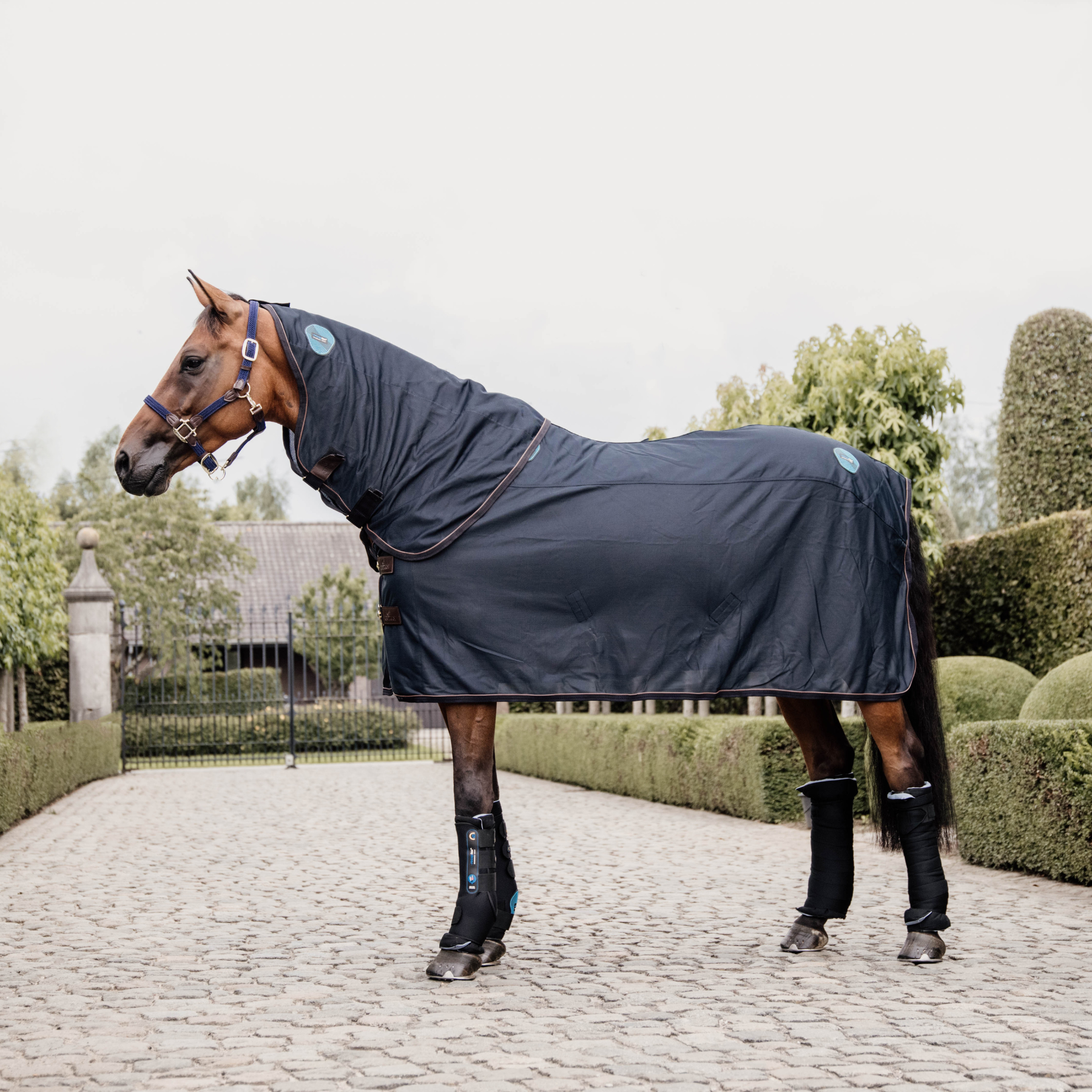 Kentucky Horsewear Magnetic Rug Recuptex