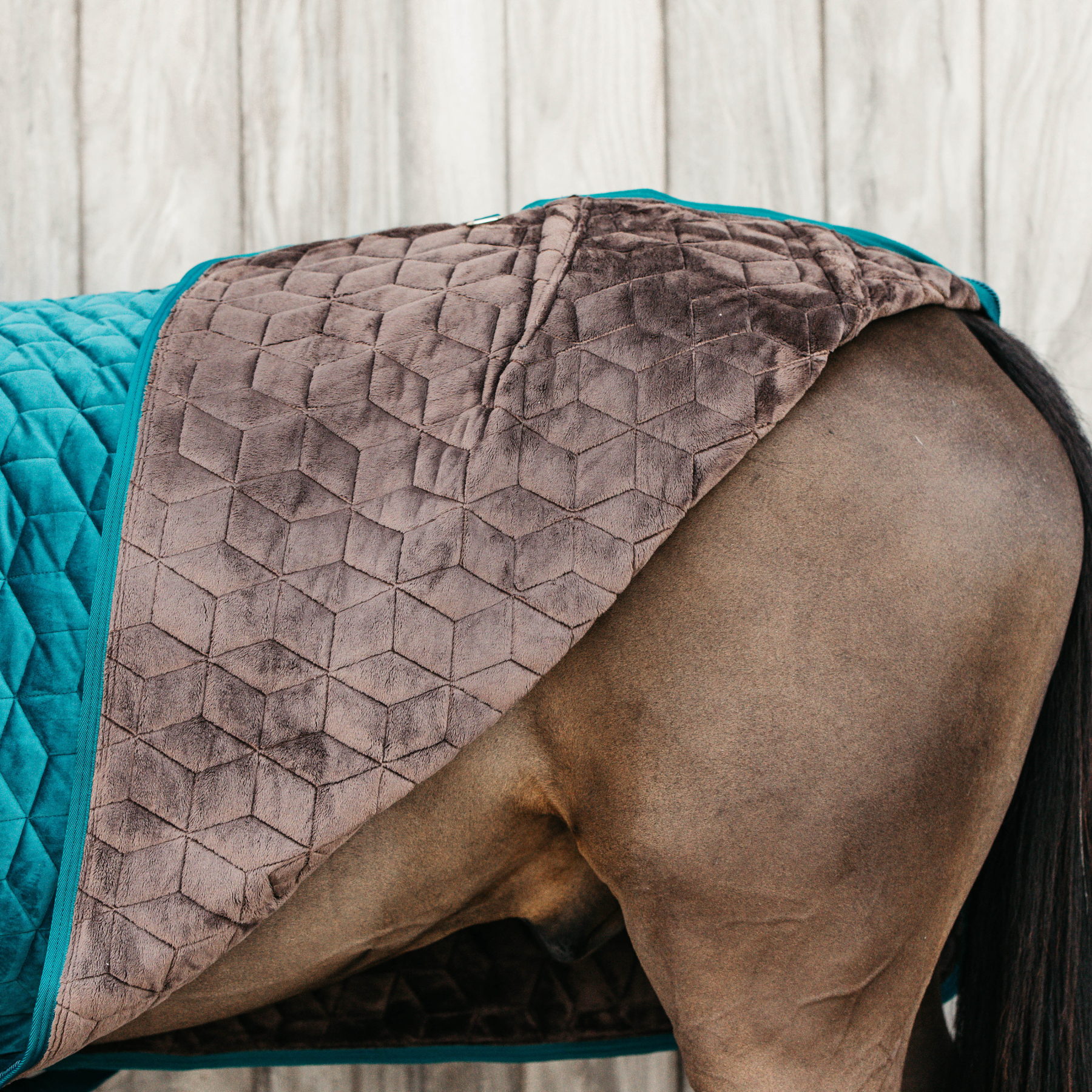 Kentucky Horsewear Show Rug Velvet 160g, Emerald