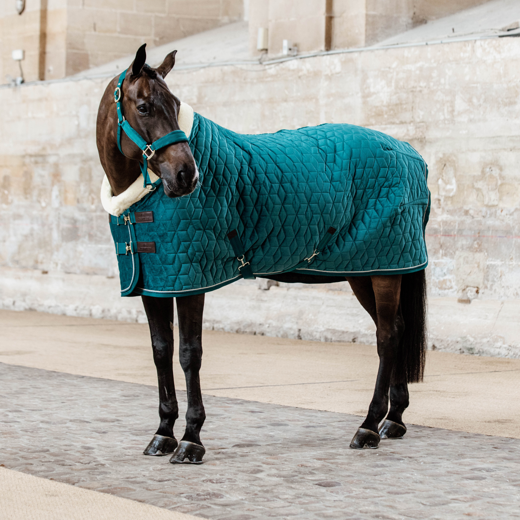 Kentucky Horsewear Show Rug Velvet 160g, Emerald