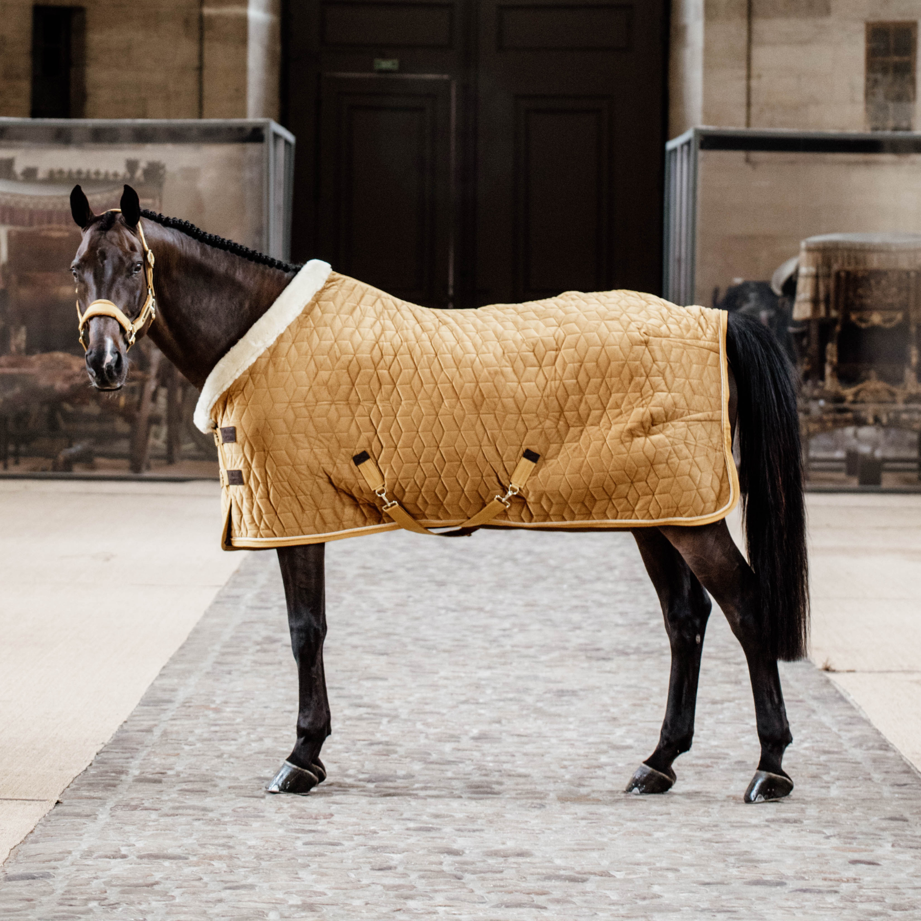 Kentucky Horsewear Show Rug Velvet 160g, Mustard