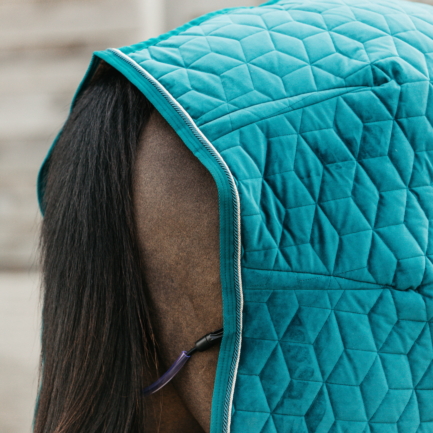 Kentucky Horsewear Show Rug Velvet 160g, Emerald