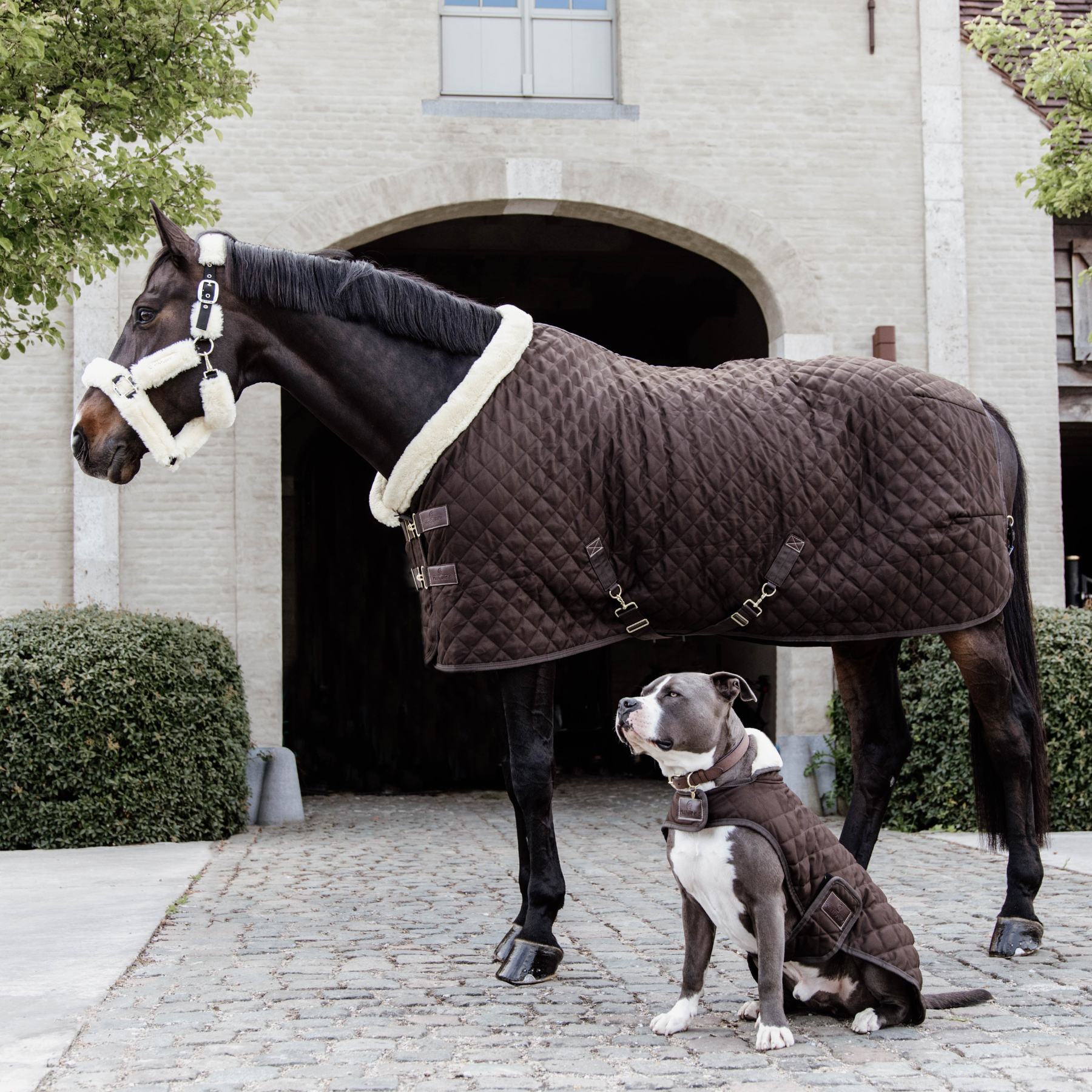 Kentucky Horsewear Show Rug, Brown