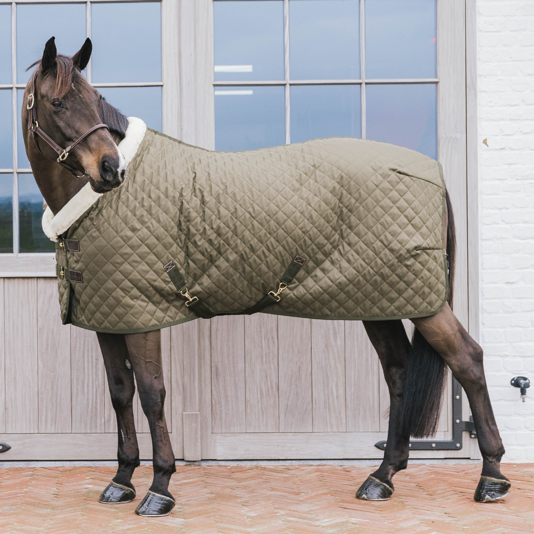 Kentucky Horsewear Show Rug, Khaki