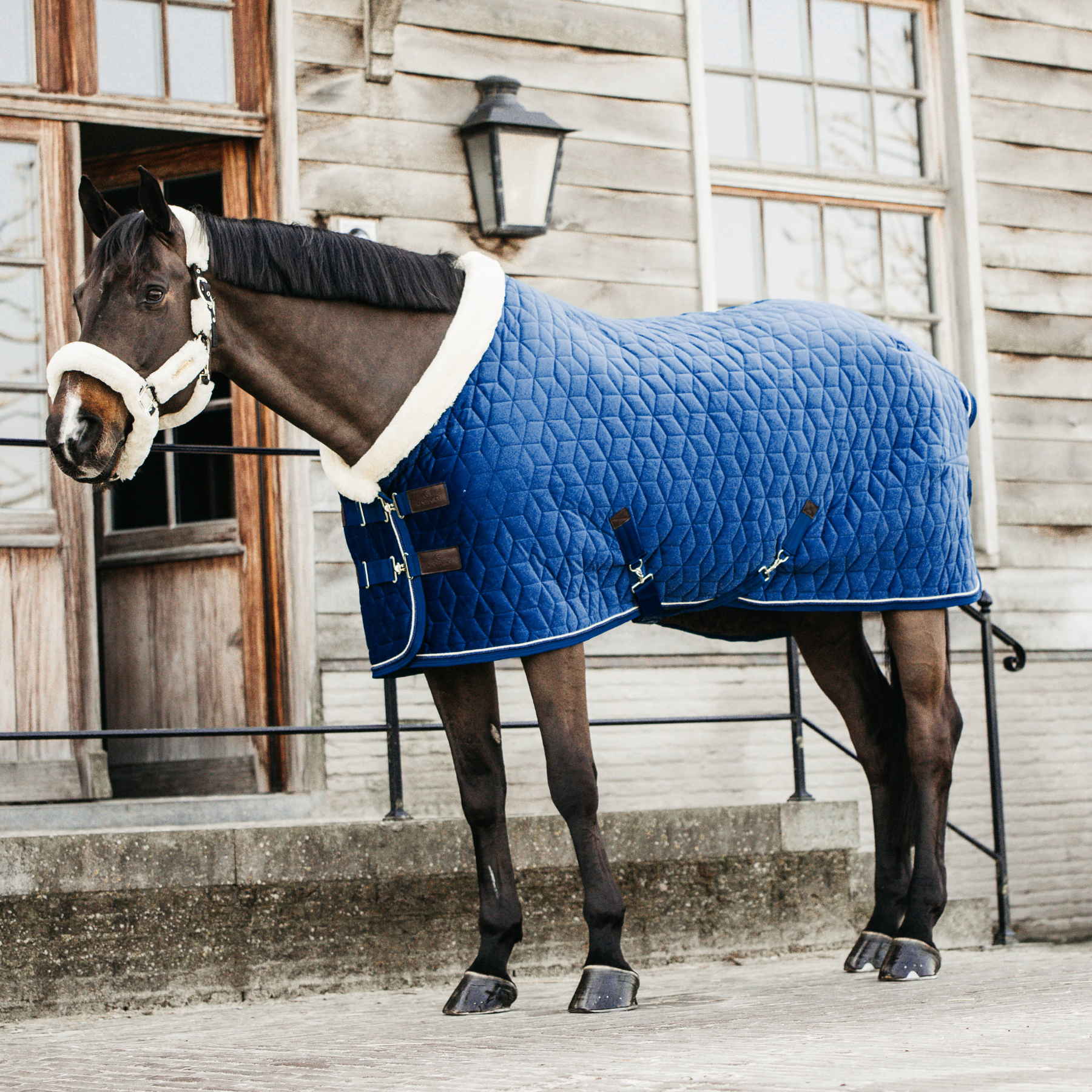 Kentucky Horsewear Show Rug Velvet 160g, Navy