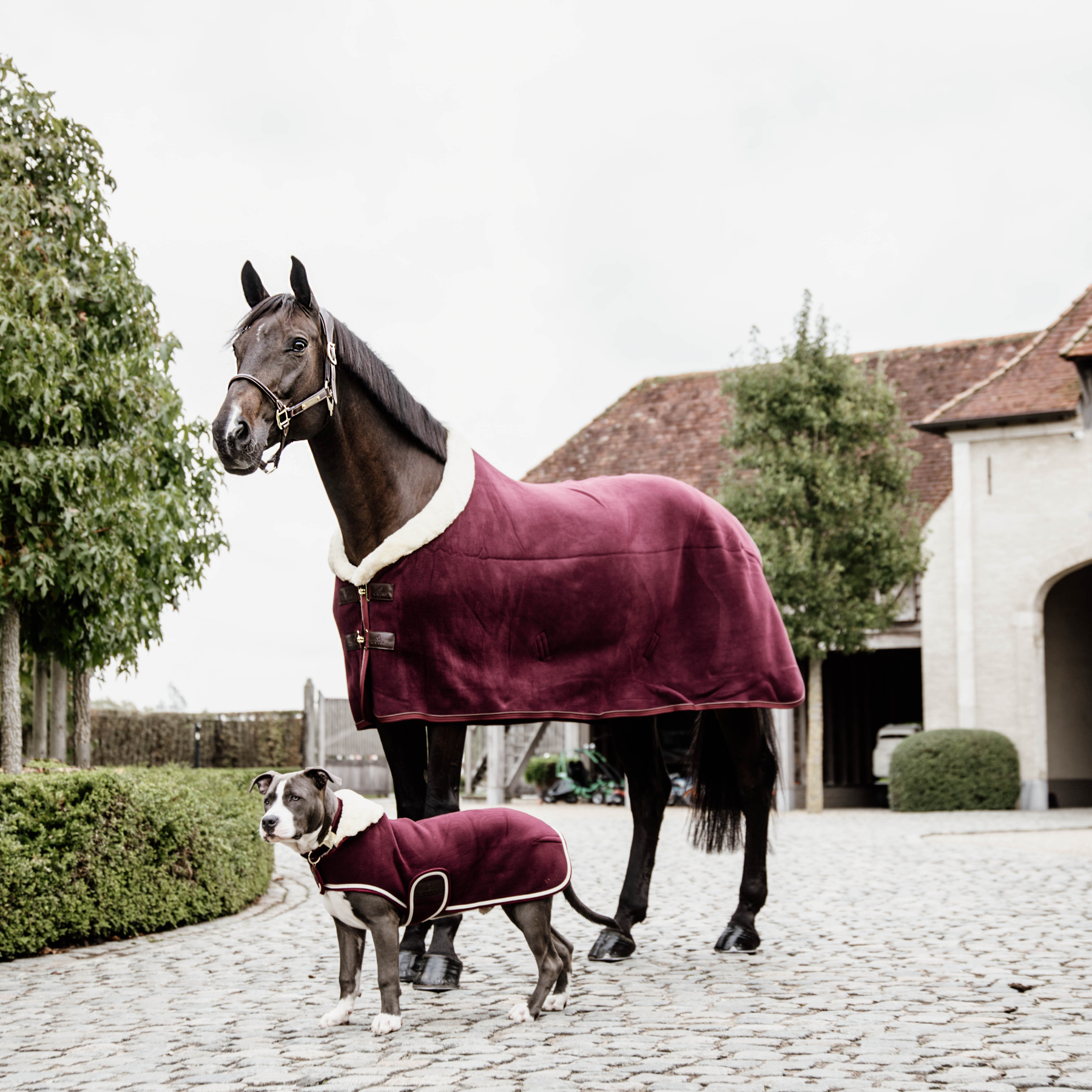 Kentucky Horsewear Fleece Show Rug Heavy