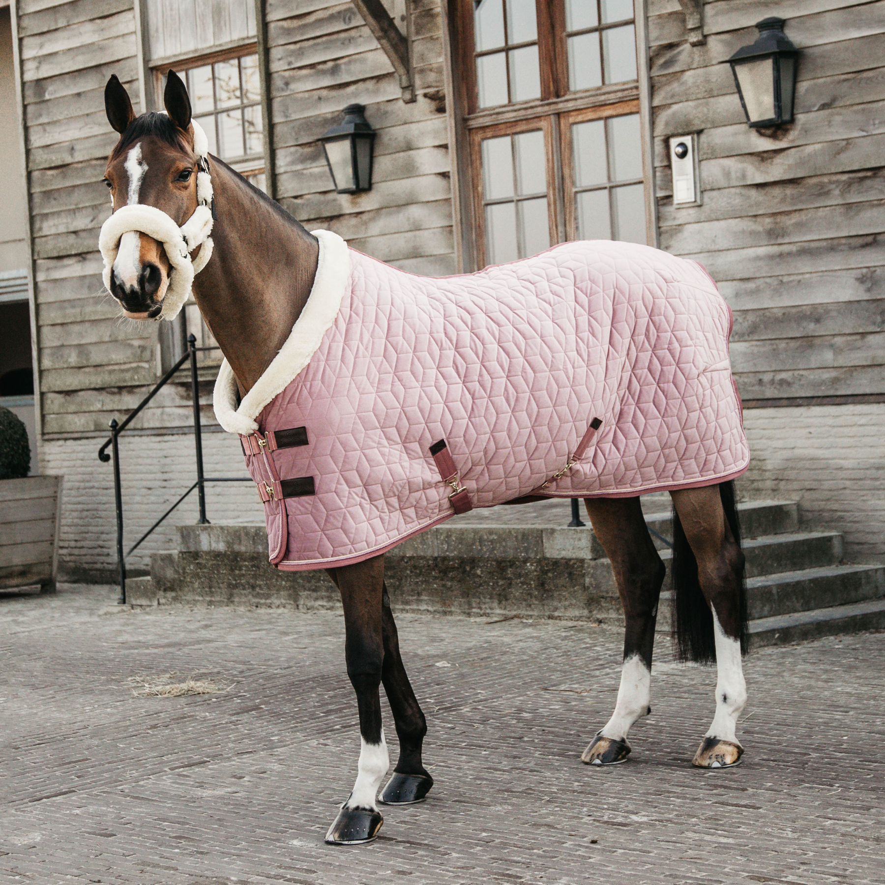 Kentucky Horsewear Show Rug Velvet 160g, Old Rose