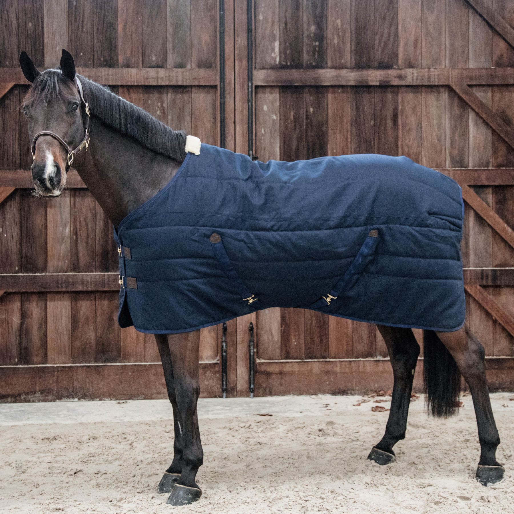 Kentucky Horsewear Stable Rug Classic, Navy