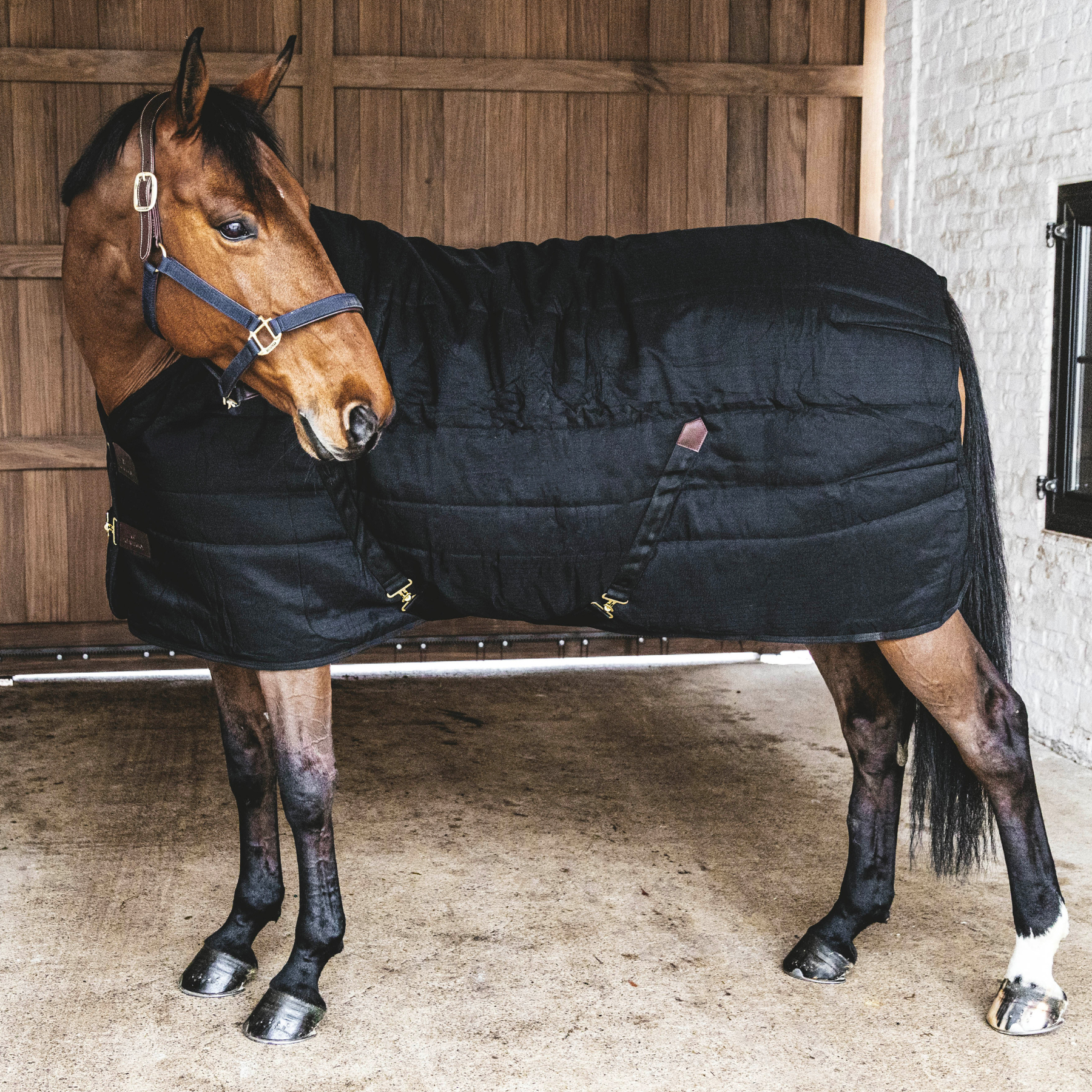 Kentucky Horsewear Stable Rug Classic, Black