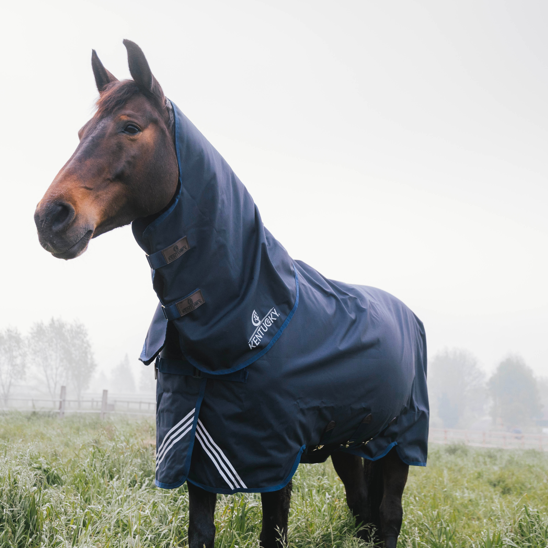 Kentucky Horsewear Turnout Rug All Weather Waterproof Comfort, Navy