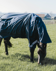 Kentucky Horsewear Turnout Rug All Weather Waterproof Comfort, Navy