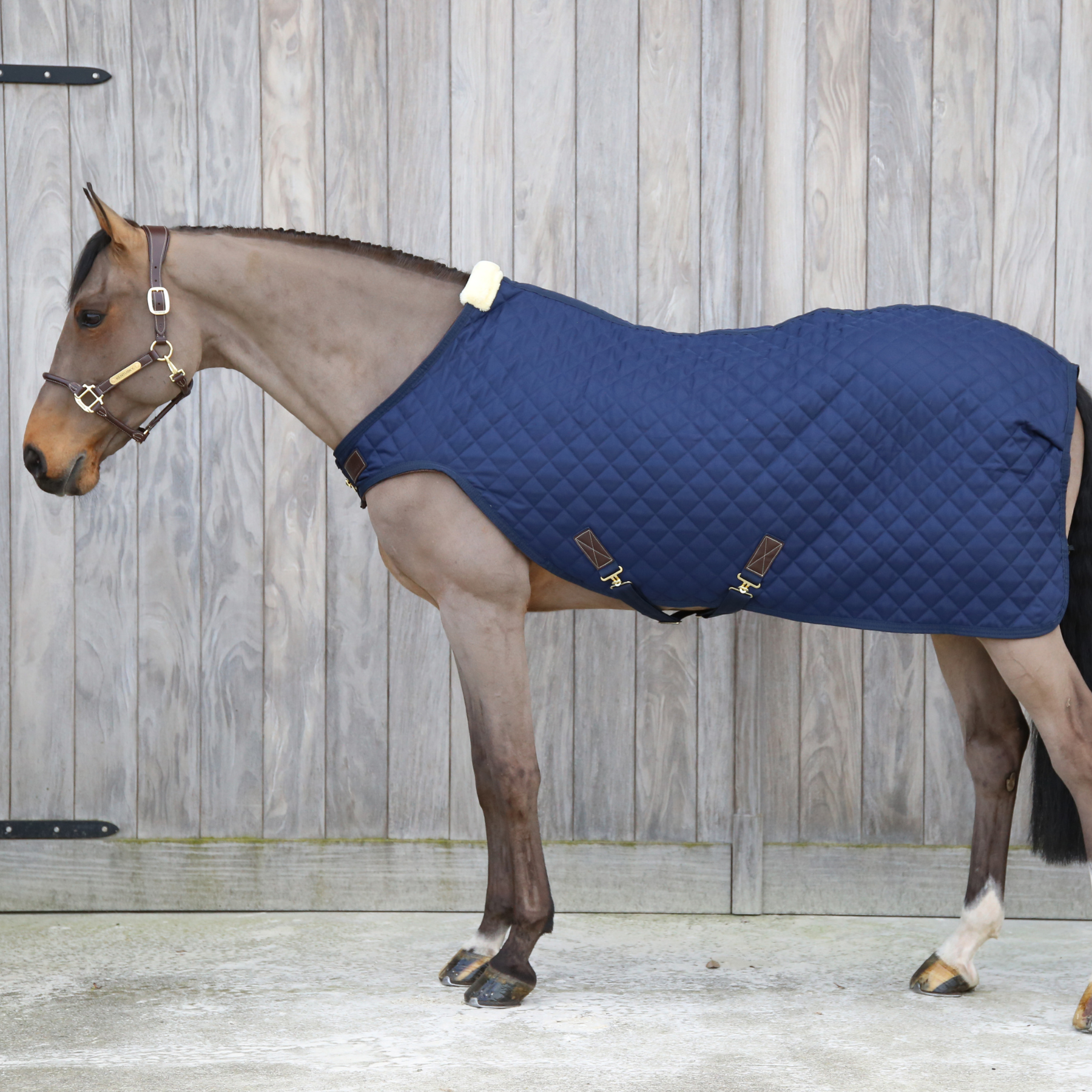 Kentucky Horsewear Walker Rug