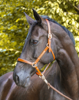 Kavalkade Bennett Leather Halter, Cognac with Brass