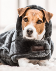 Kentucky Dog Coat Fake Fur, Grey