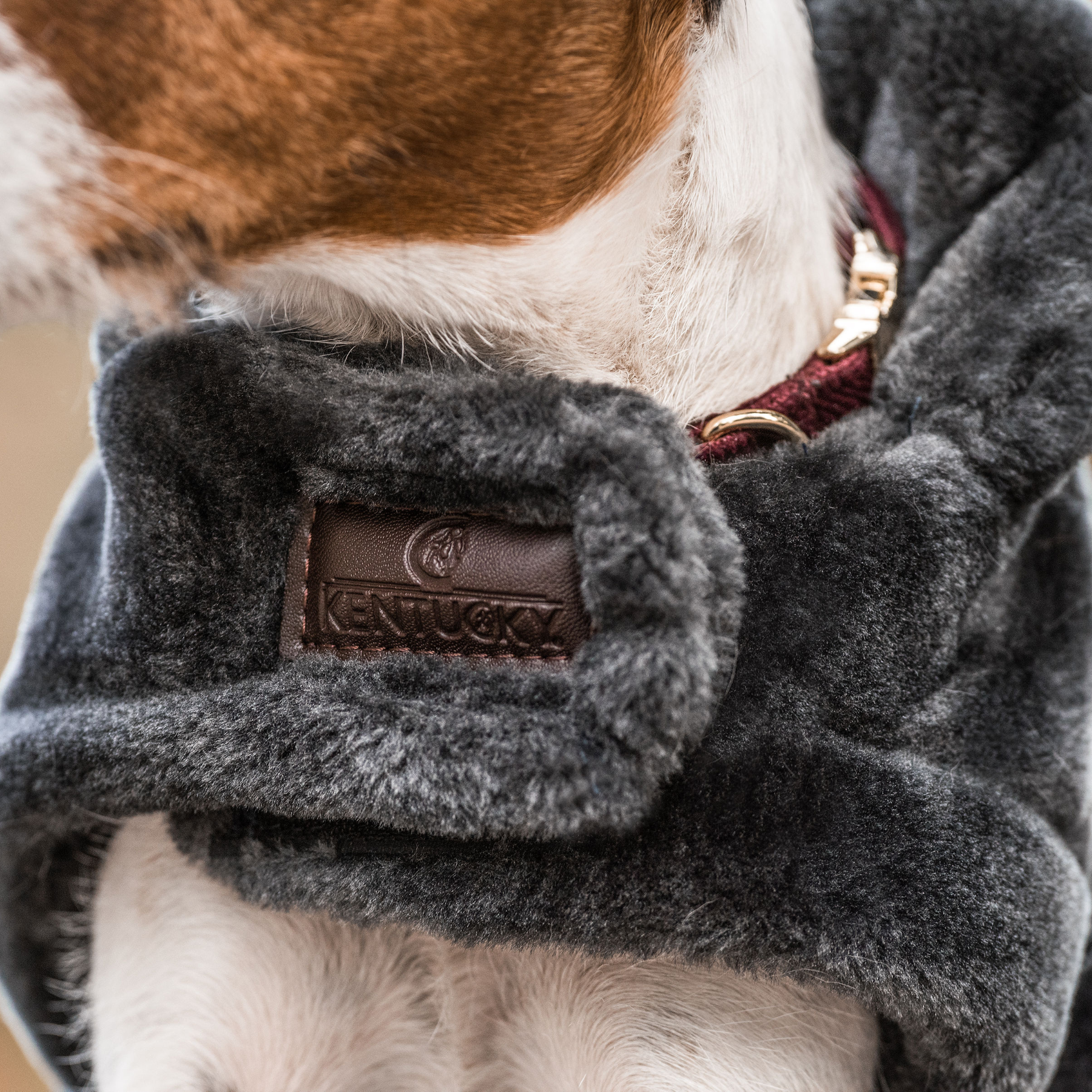 Kentucky Dog Coat Fake Fur, Grey