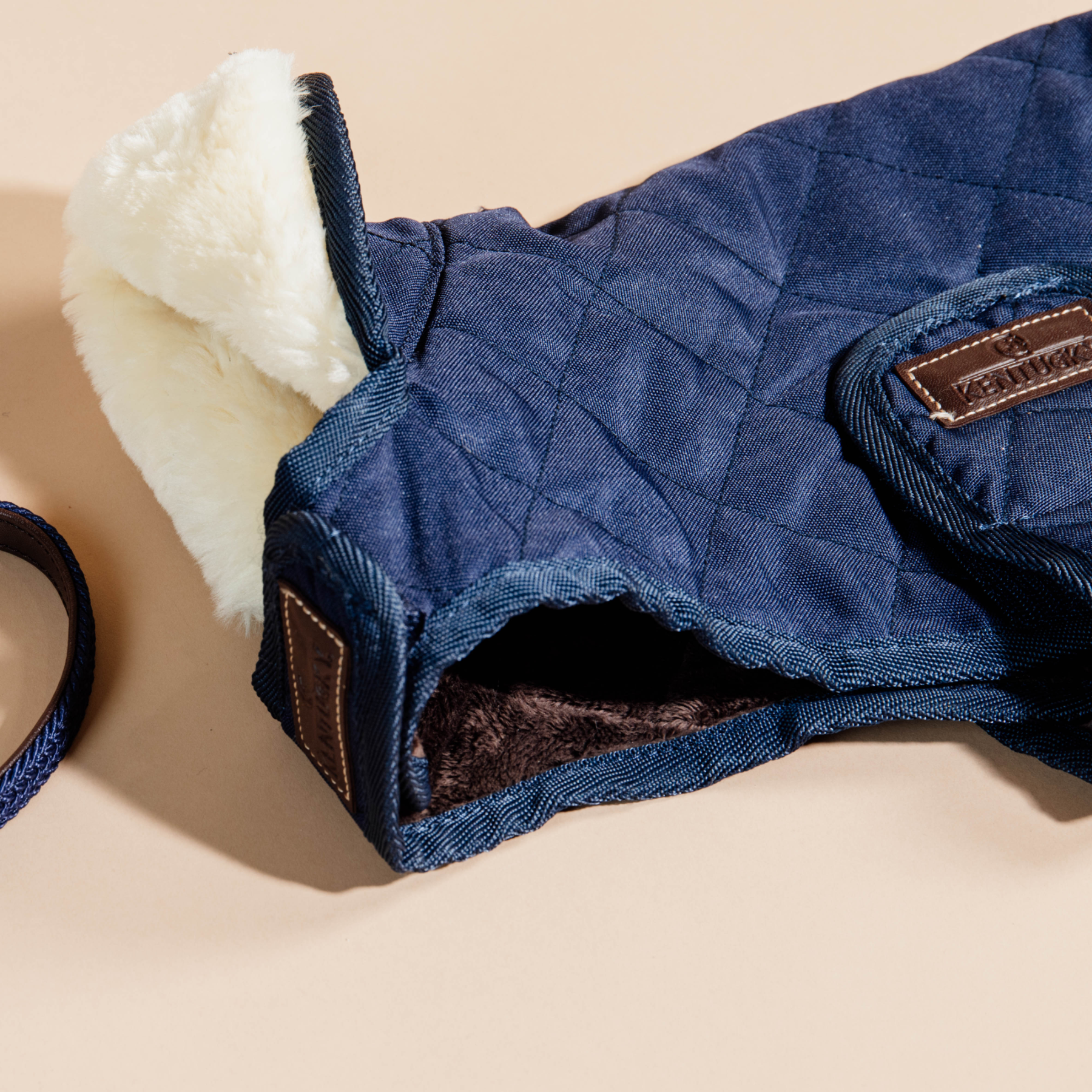 Kentucky Dog Coat, Navy