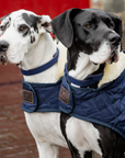 Kentucky Dog Coat, Navy