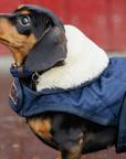 Kentucky Dog Coat, Navy