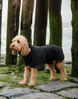 Kentucky Dog Coat Towel, Black