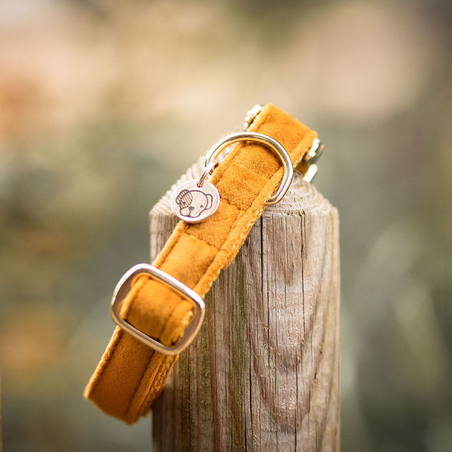 Kentucky Dog Collar Velvet, Mustard