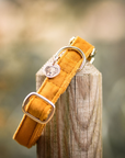 Kentucky Dog Collar Velvet, Mustard