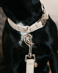Kentucky Dog Collar Wool, Beige