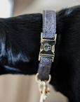 Kentucky Dog Collar Wool, Gray