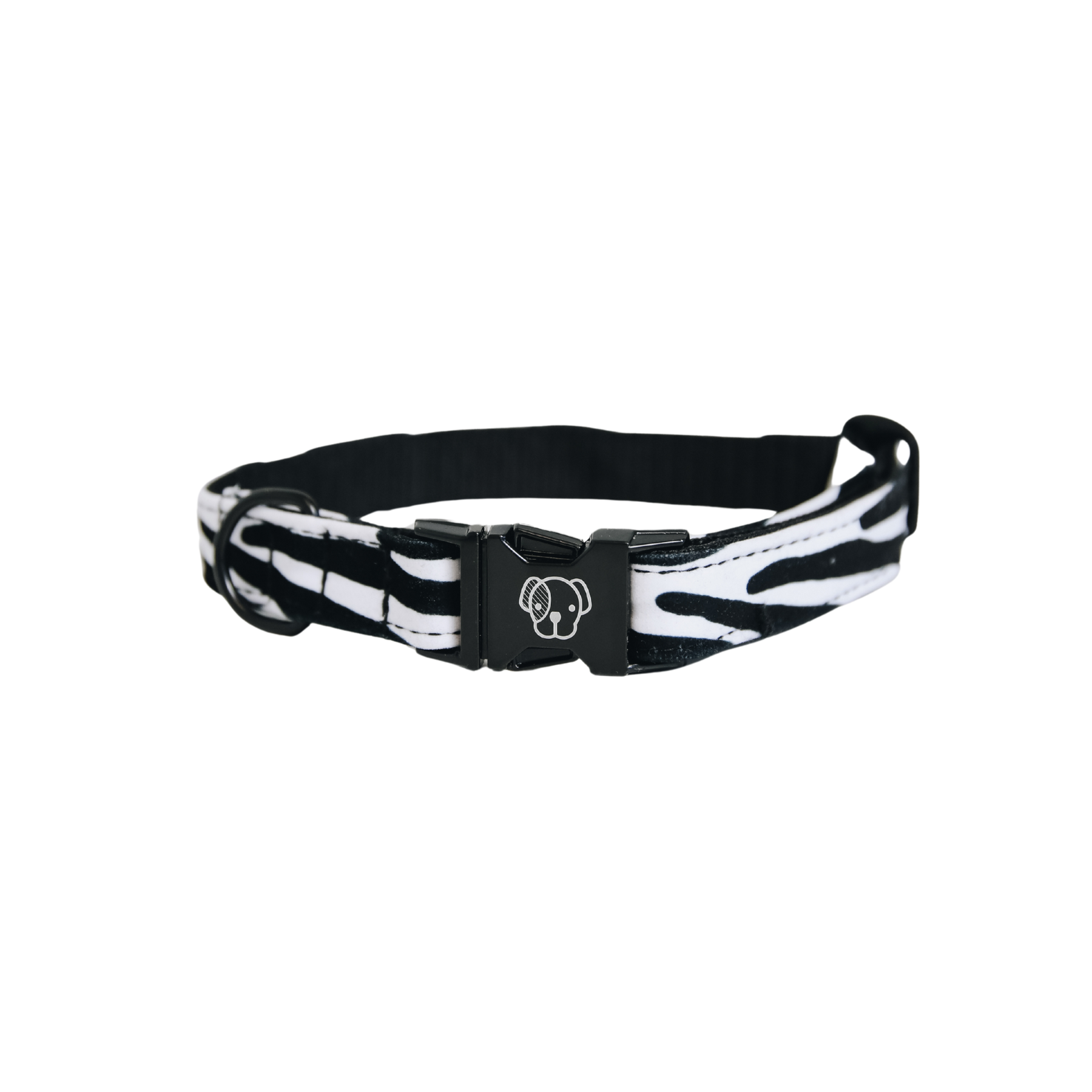 Kentucky Dog Collar Zebra