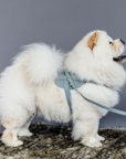 Kentucky Dog Harness Body Safe Wool, Light Blue