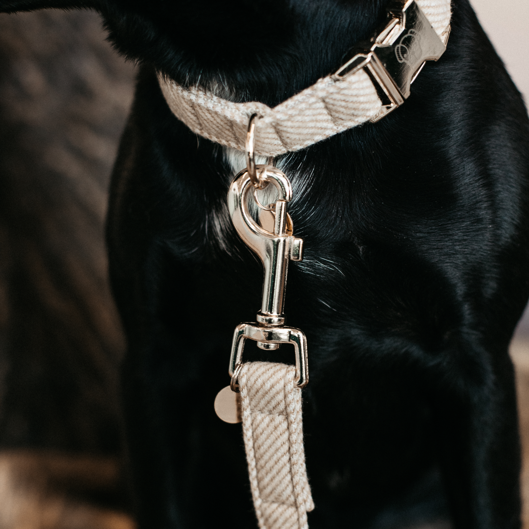 Kentucky Dog Lead Wool, Beige
