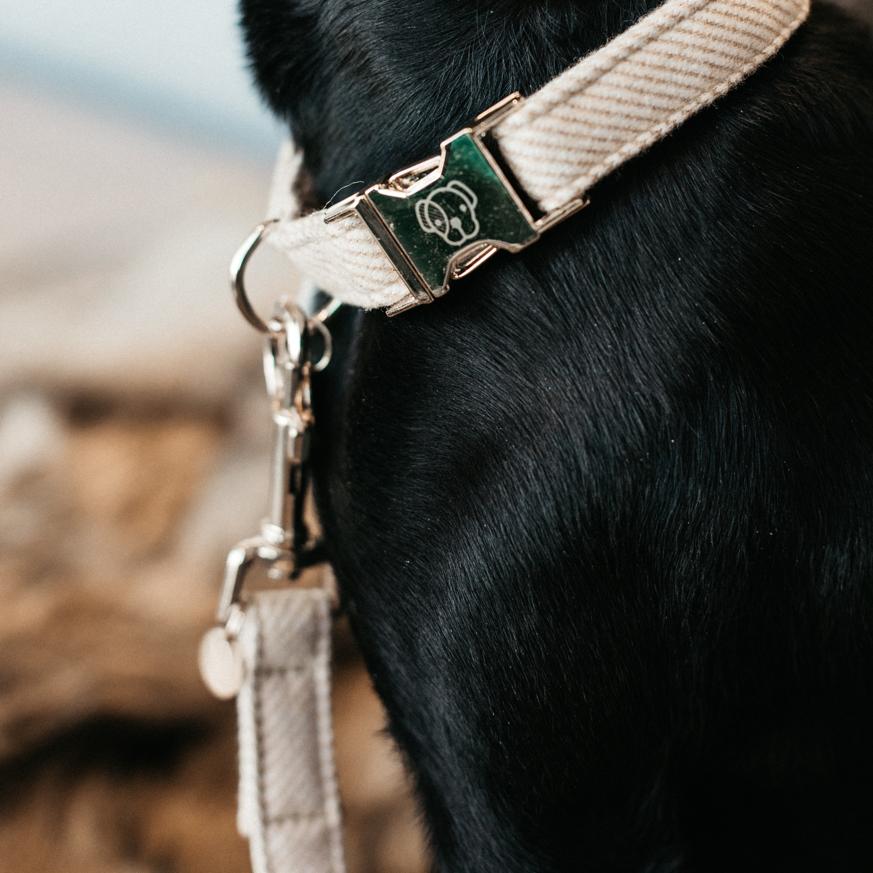Kentucky Dog Lead Wool, Beige