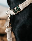 Kentucky Dog Lead Wool, Beige
