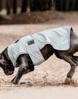 Kentucky Dog Rain Coat, Dusty Blue