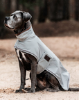 Kentucky Dog Rain Coat, Dusty Blue