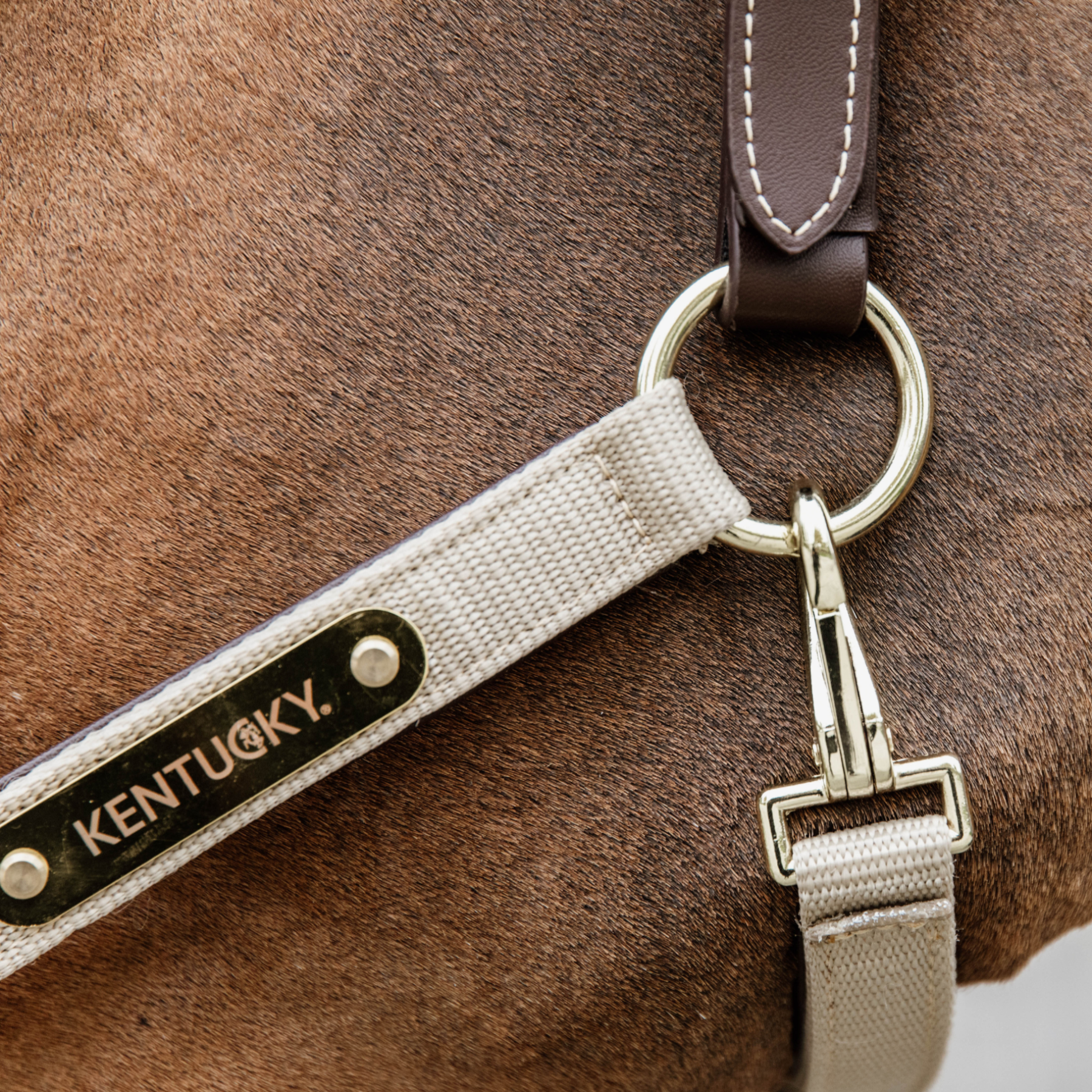Kentucky Horsewear Anatomic Nylon Halter, Beige