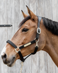 Kentucky Horsewear Anatomic Nylon Halter, Black