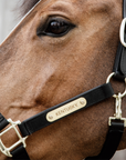 Kentucky Horsewear Anatomic Nylon Halter, Black