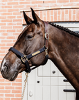 Kentucky Horsewear Anatomic Nylon Halter, Navy