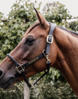 Kentucky Horsewear Anatomic Vegan Leather Halter, Black