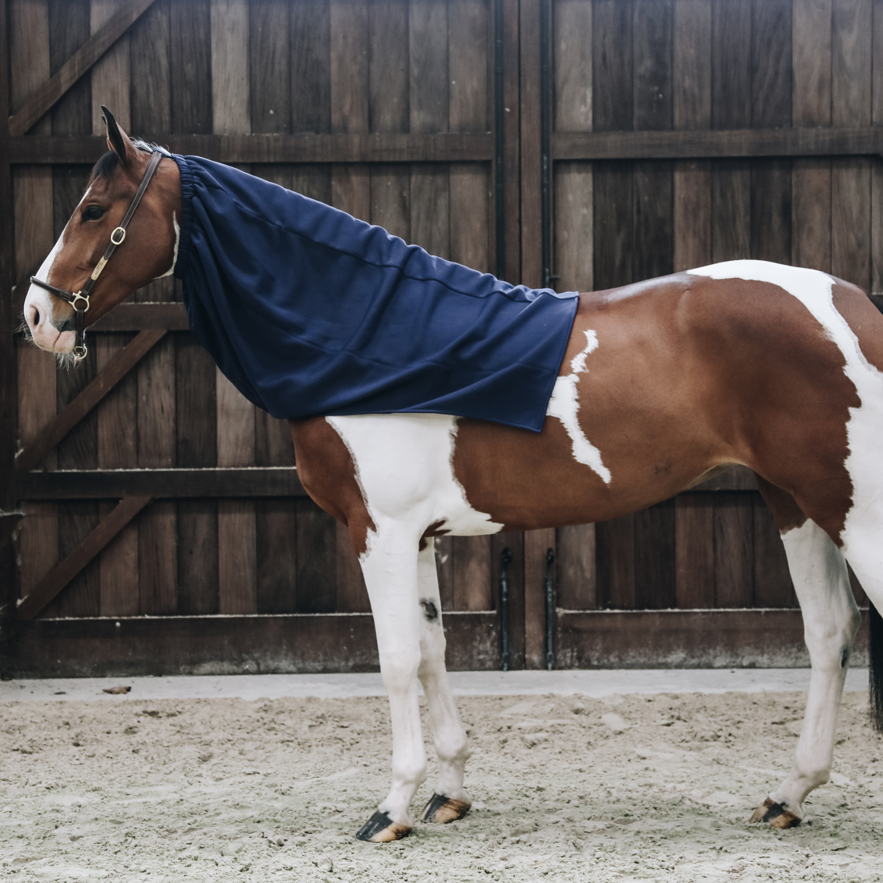 Kentucky Horsewear Cooler Fleece Horse Scarf