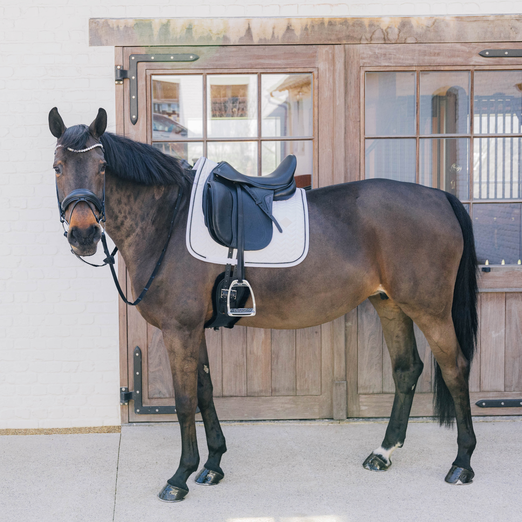 Kentucky Horsewear Dressage Saddle Pad with Metal Chain, White