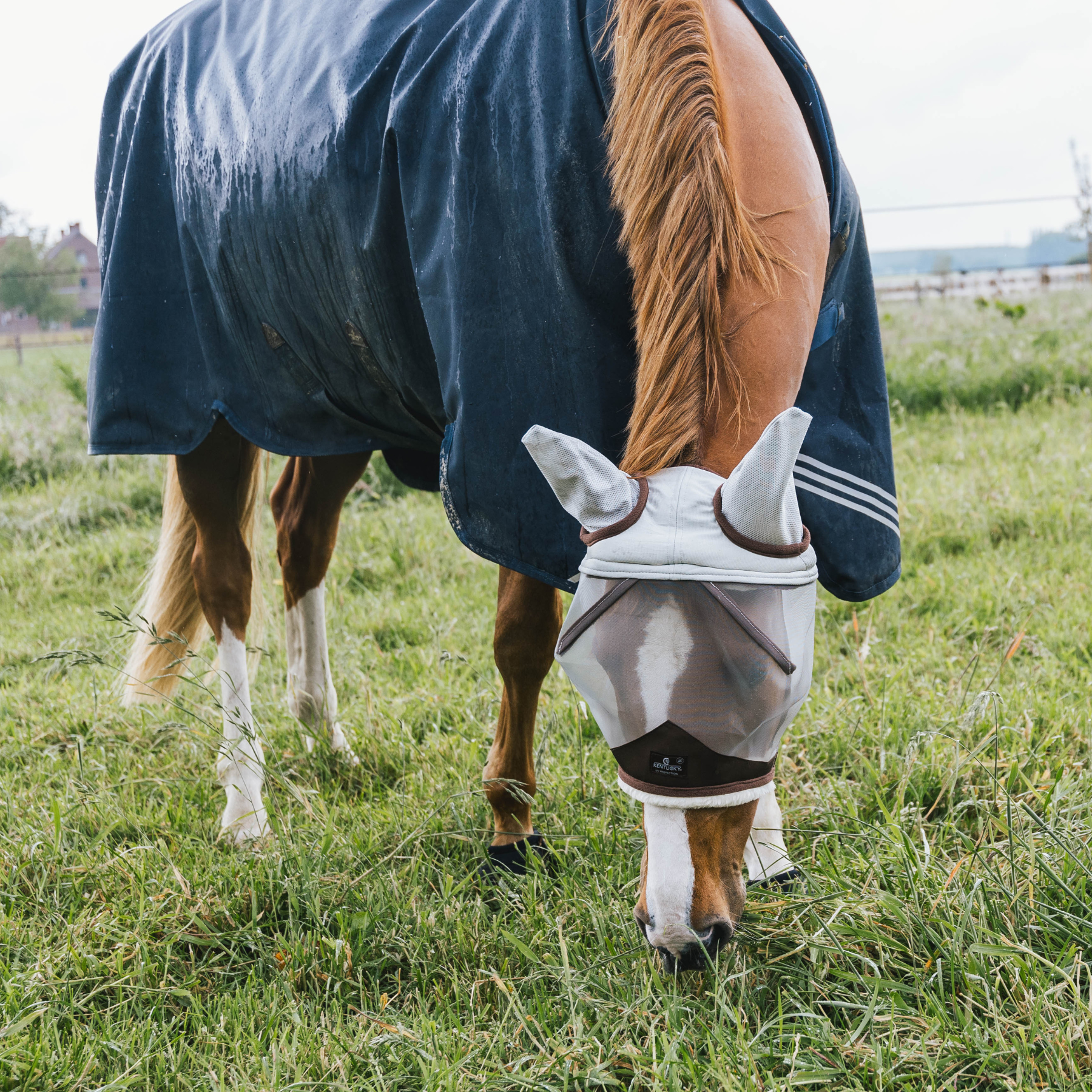 Kentucky Horsewear Fly Mask Skin Friendly With Ears, Silver