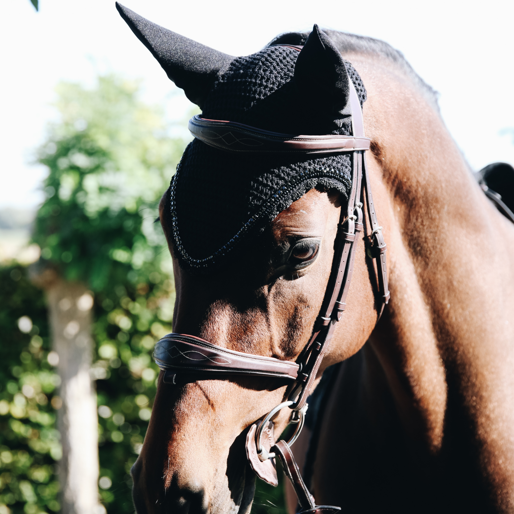 Kentucky Horsewear Fly Veil Long Stone & Pearl, Black