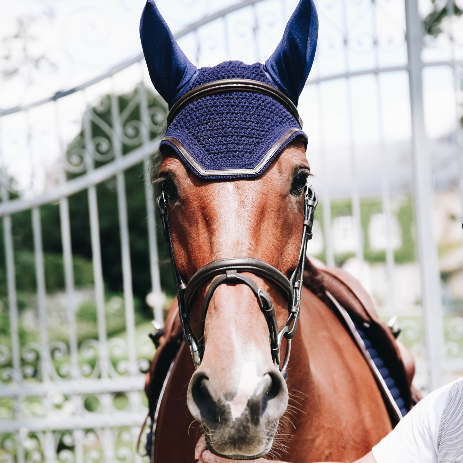 Kentucky Horsewear Fly Veil Wellington Leather, Navy