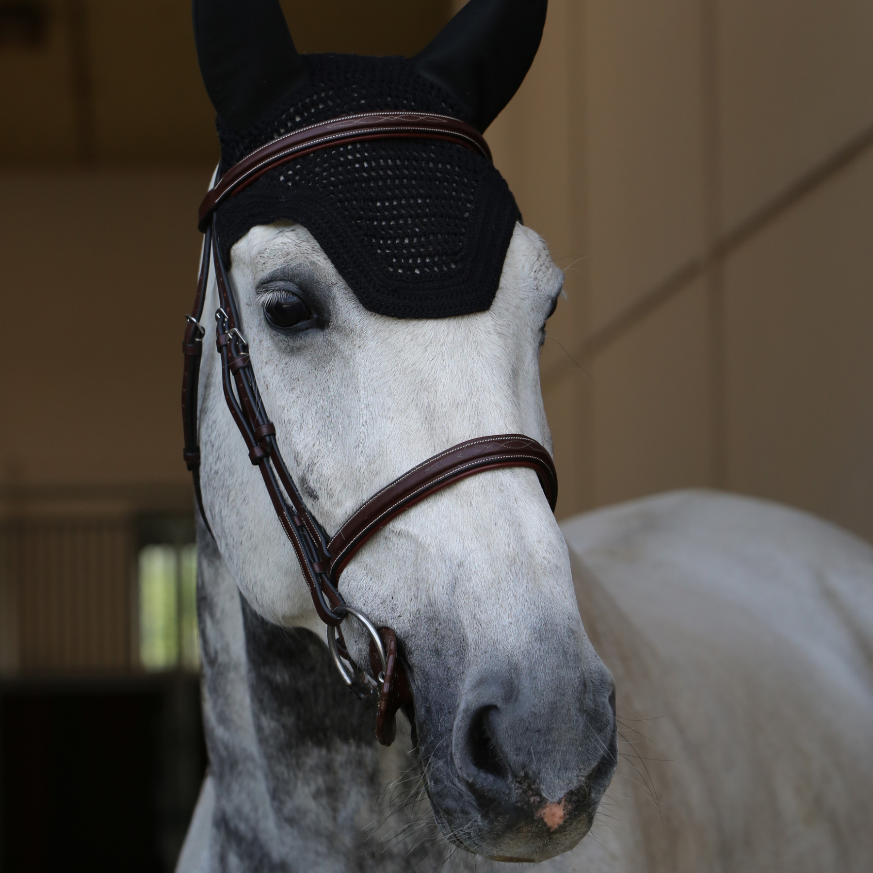 Kentucky Horsewear Fly Veil Wellington Soundless, Black