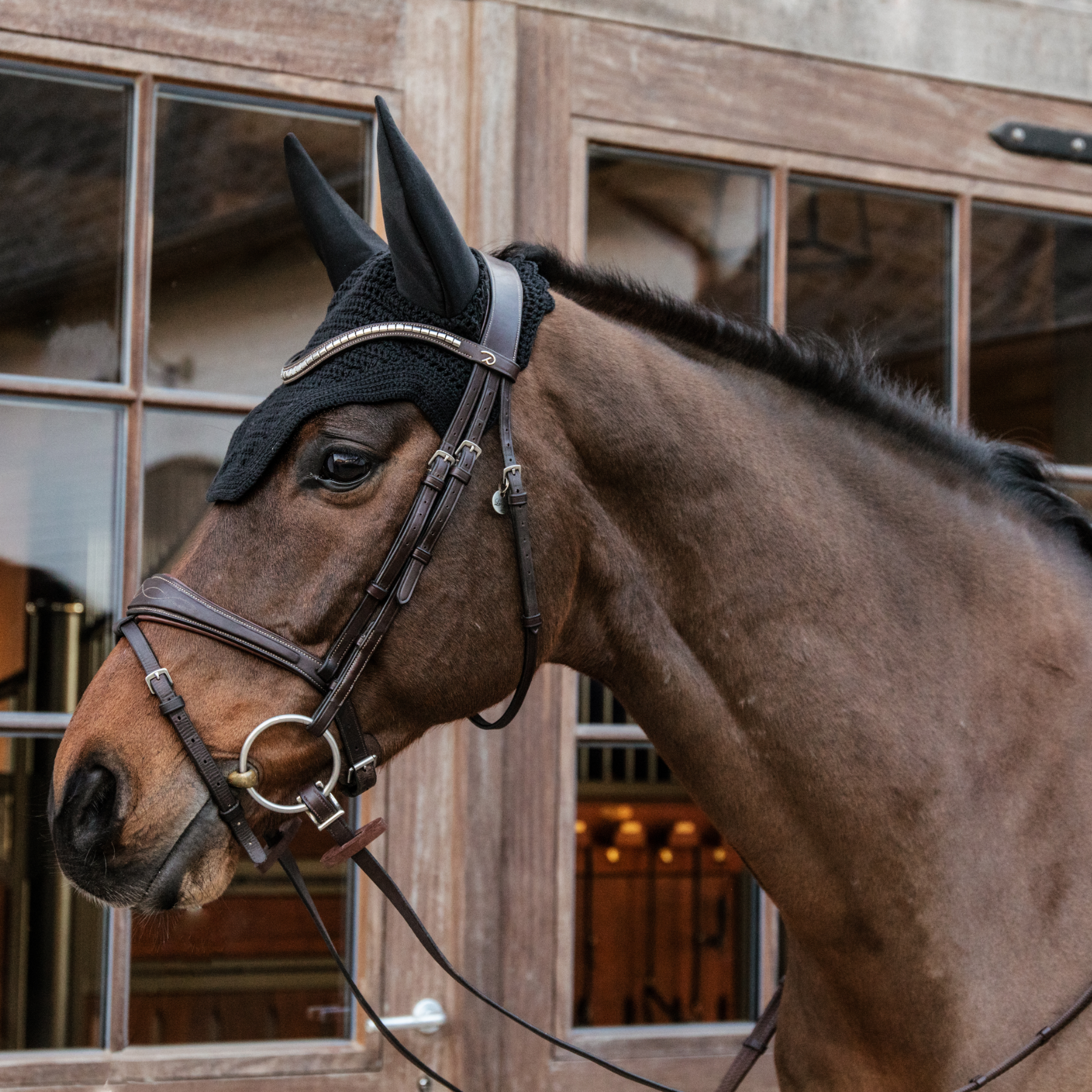 Kentucky Horsewear Fly Veil Wellington Soundless, Black